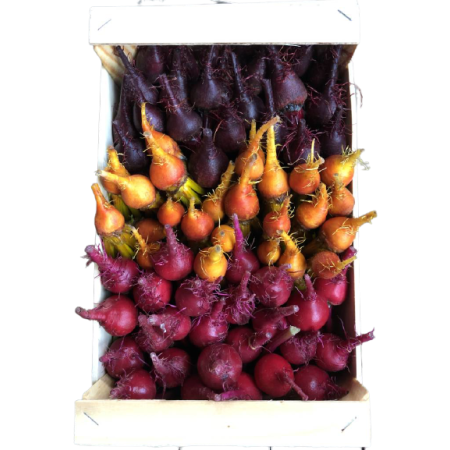 Baby Beetroot Mixed Organic Eric roy