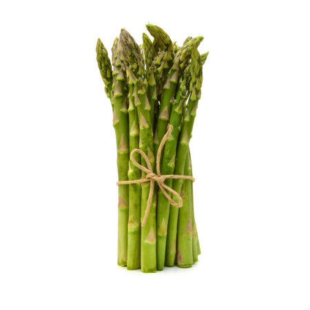 Asparagus Green Galis 16/22