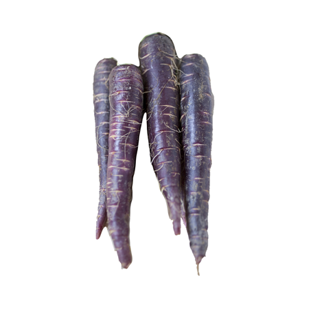 Purple Carrot Cat 1