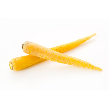 Yellow Carrot 5