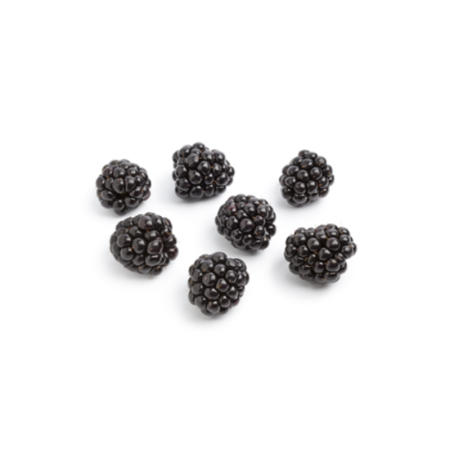 Blackberry