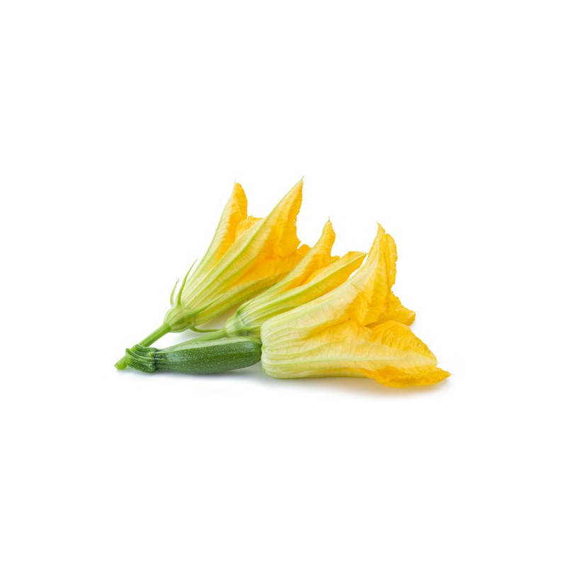 Flower Zucchini