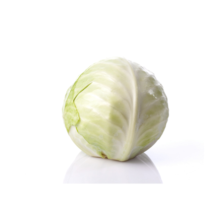 Cabbage White