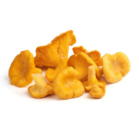 Mushroom Girole