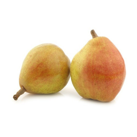 Comice Pear 75/80