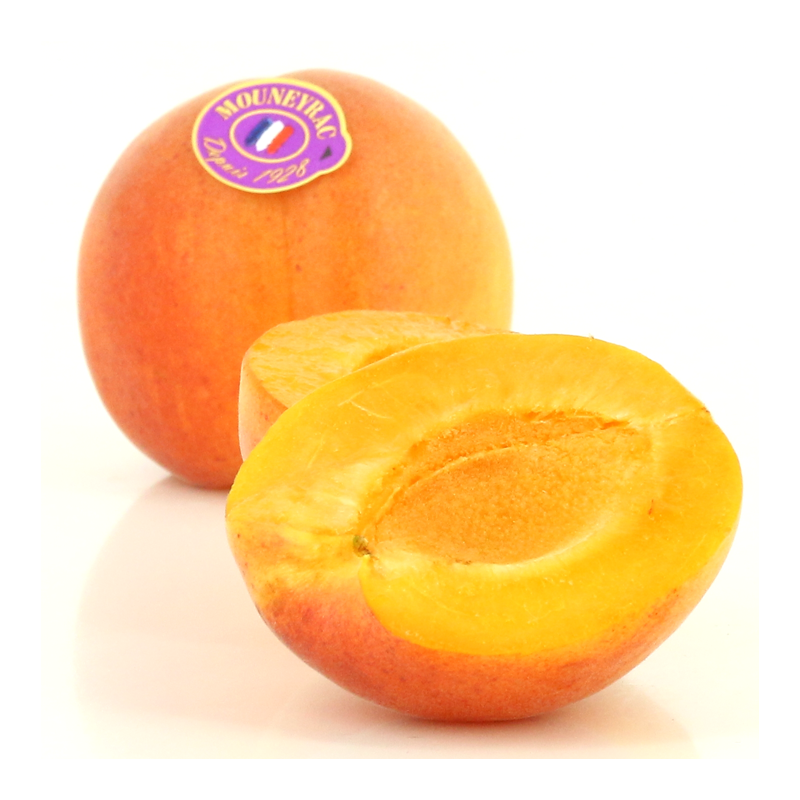 Apricot