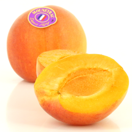 Apricot
