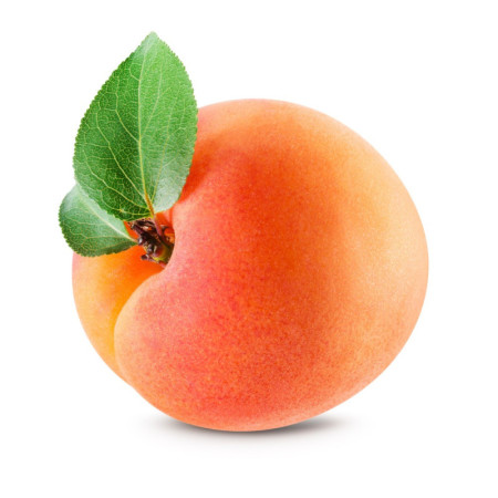 Apricot Cal 3A
