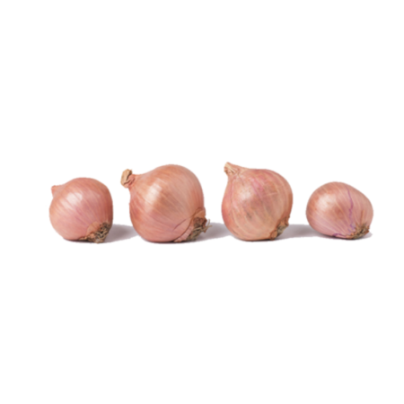Onion Round Shallot