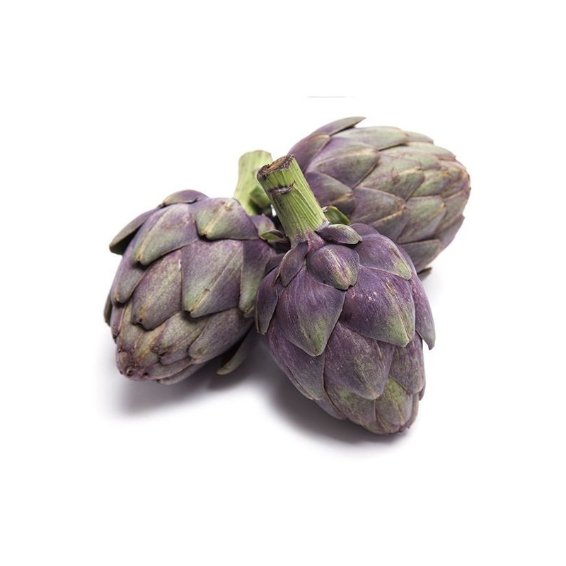 Baby Purple Artichoke