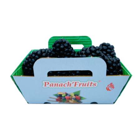 Blackberry Panach