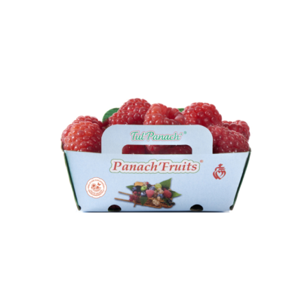 Raspberry Tulameen Panach