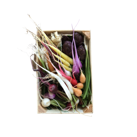 Baby Vegetables Selection Organic Eric Roy