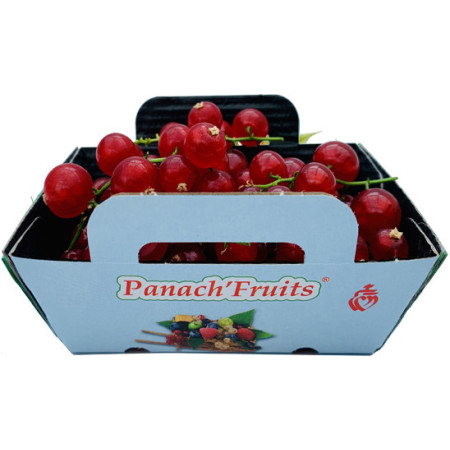 Red Currant Panach