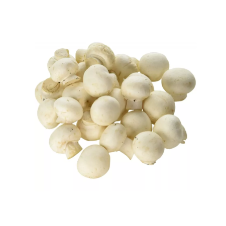 Mushroom Paris Bouton White Small