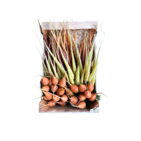 Baby Mixed Carrot Eric Roy Organic