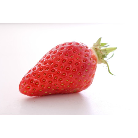 Strawberry Gariguette Metro