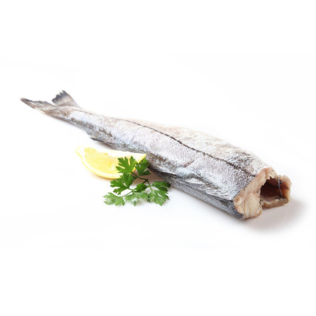 Cod fish 2-4kg headless wild