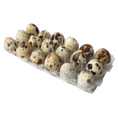 Eggs Quail  Fresh