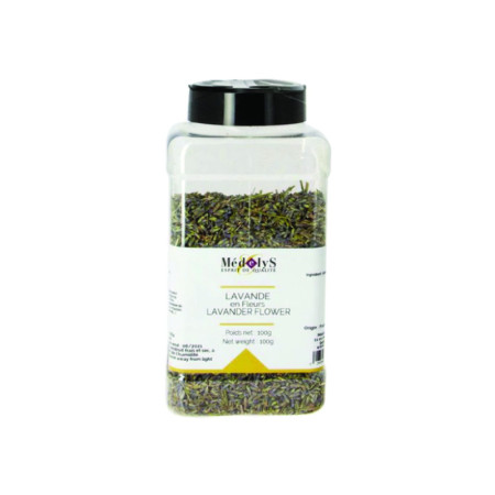 Spice Lavender Flower
