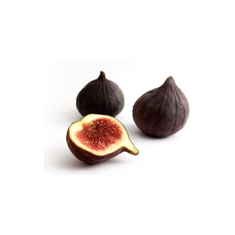 Fig Black