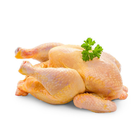 Chicken Baby Yellow Corn Fed