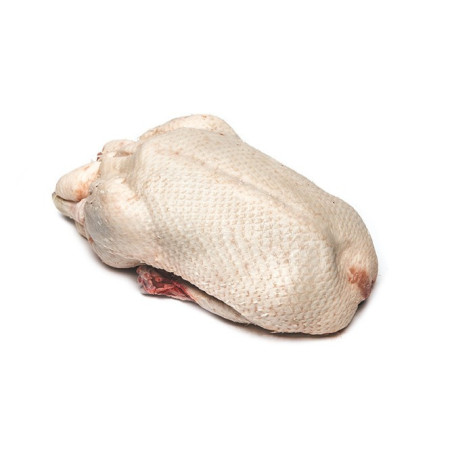 Duck Whole Female on Tray