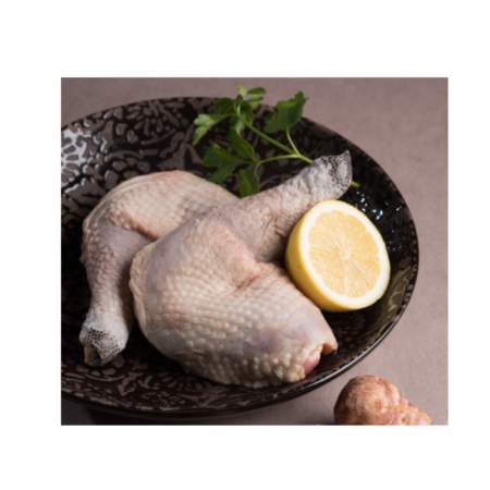 Chicken Black Leg
