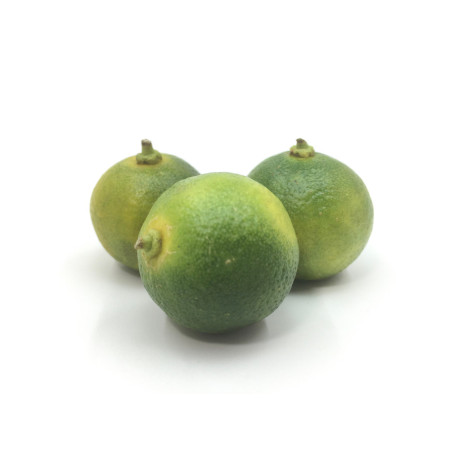 Clementine Kalamansi
