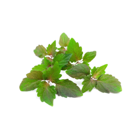 Purple Shiso Leaves