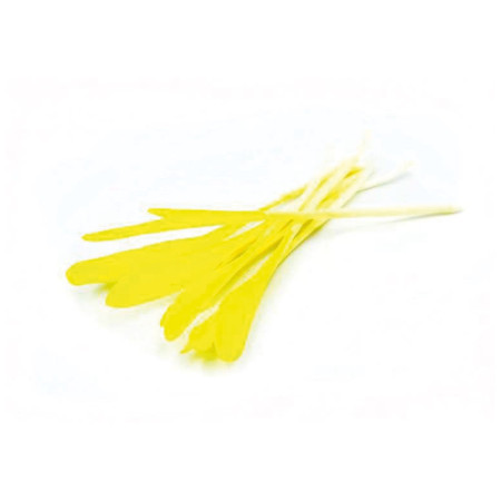 Popcorn Shoots