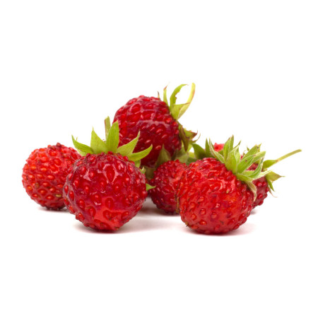 Strawberries Wild