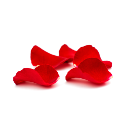 Rose Red Petals Edible Flower