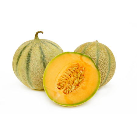 Melon Charentais Philibon