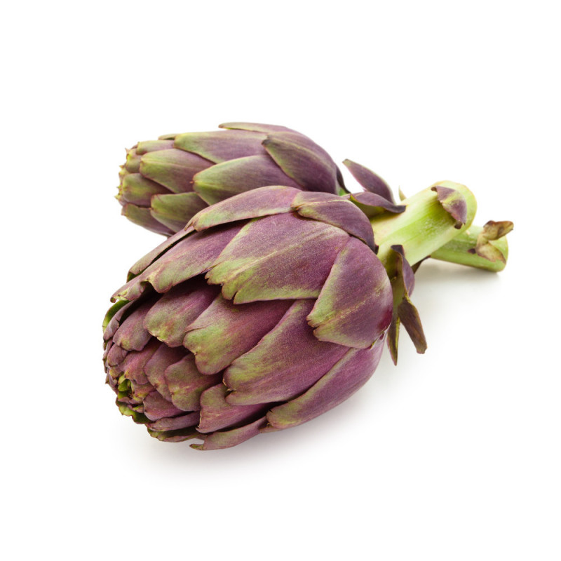 Artichoke Purple Baby