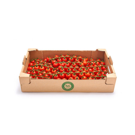 Tomatoes Cherry on Vine Red