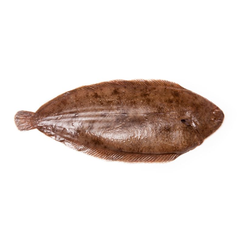 Dover Sole Wild 400/500 GR