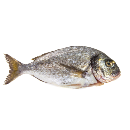 Seabream Farmed 400-600 Gr/Pc