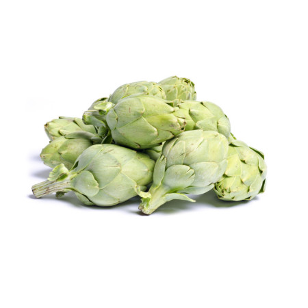 Artichoke Violet Baby
