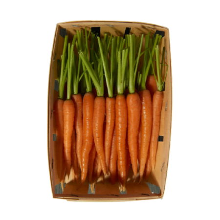 Baby Carrot Orange Organic Eric Roy