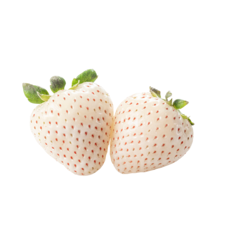 Strawberries Wild White