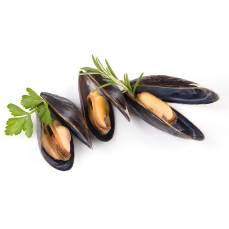 Bouchot Mussels Organic live