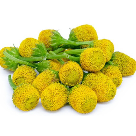 Buzz Button Edible Flower