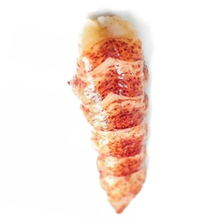Lobster Canadian Tails Raw Shell-Off 100 GR