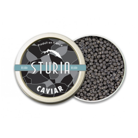 Caviar Beluga