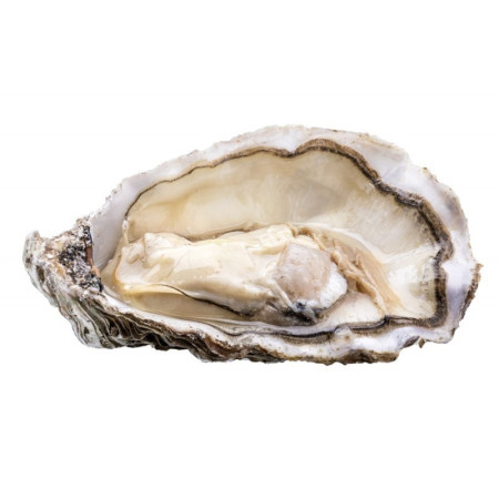 Tsarskaya Speciale no3 Oysters