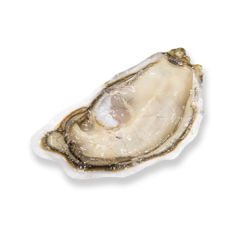 Oyster Flat Cancale N°0 Saint Kerber