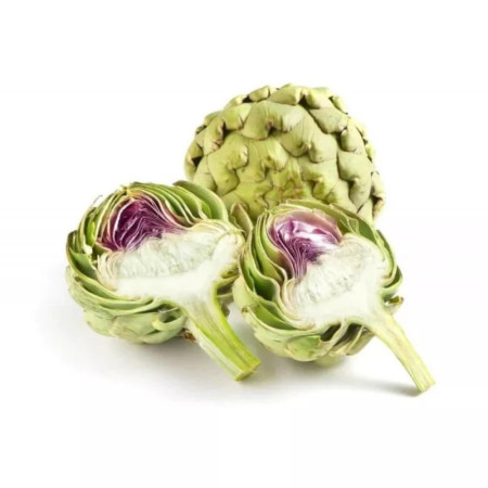 Artichoke Calicot Globe Metro