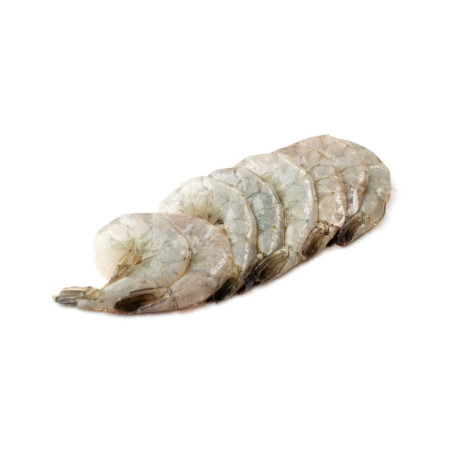 Shrimps Grey Cooked Medium