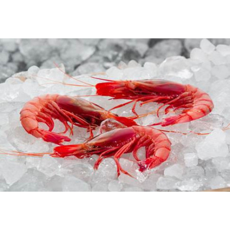 Shrimp Red Label Cooked Madagascar 400/600